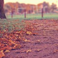 Manashi Dey — Co-Founder at DEY GLOBAL EXPORTERS